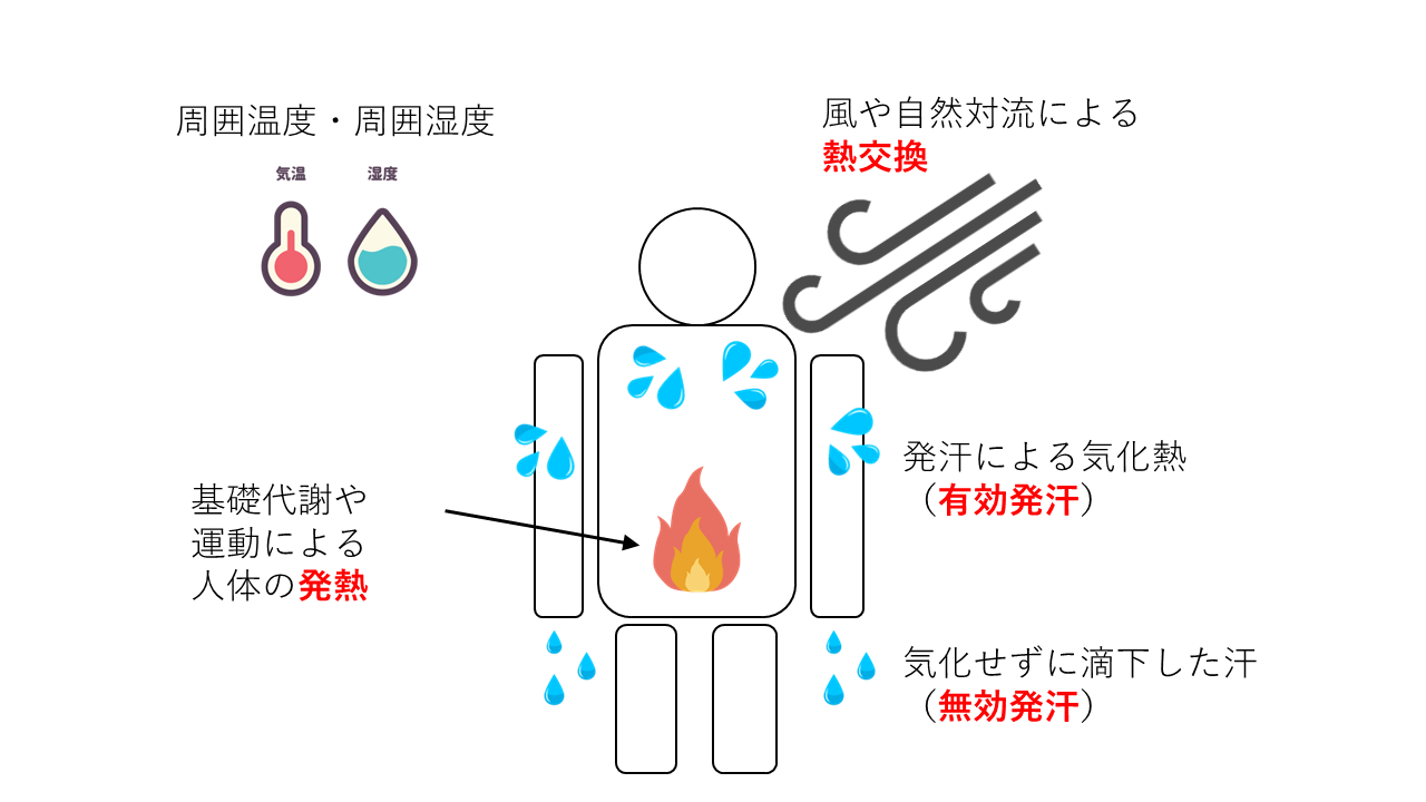 体温調節の原理説明図